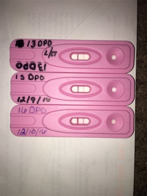 Dollar Tree Ovulation Test Progression Pregnancy Test