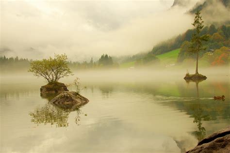 Wallpaper Kabut Danau Pegunungan Refleksi Pohon Air Jerman