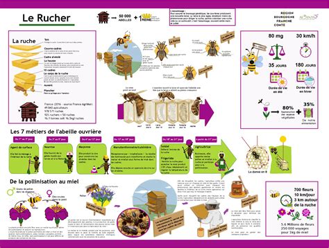 Panneaux pédagogiques pour comprendre les abeilles et le rucher