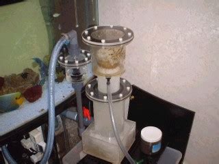 We stock thousands of aquarium products such as protein skimmers, air pumps, water pumps and power heads, a full line of co2 supplies, calcium reactors, aquarium lighting, fish food, refugiums, aquarium filters, aquarium heaters, and much more reef aquarium supplies. DIY Protein Skimmer - Reef Central Online Community Archives