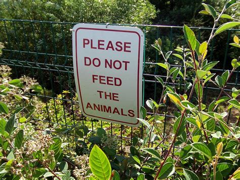 Signs stating 'do not feed the animals' are ubiquitous in zoos, national parks and urban spaces. Do not feed the animals - Wikipedia