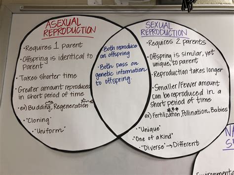 Asexual Reproduction V Sexual Reproduction Anchor Chart Biology College Biology Classroom