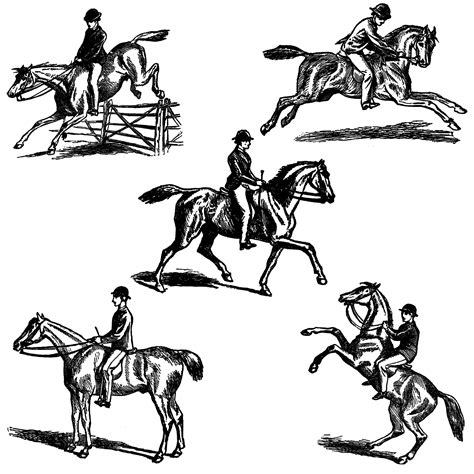 The Graphics Monarch Equestrian Horse Riding Clipart Drawing