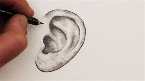 Pencil Drawing Tutorial How To Draw An Ear How To Draw Ears How To