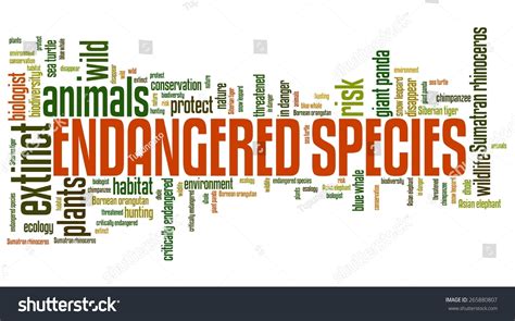 Endangered Species Environment Issues Concepts Word Stock Illustration