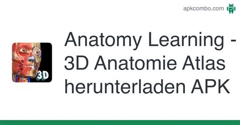 Anatomy Learning 3d Anatomie Atlas Apk 21331 Android App