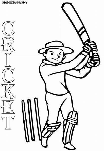 Cricket Coloring Pages Drawing Colorings Getdrawings