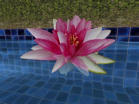 Second Life Marketplace Floating Flower