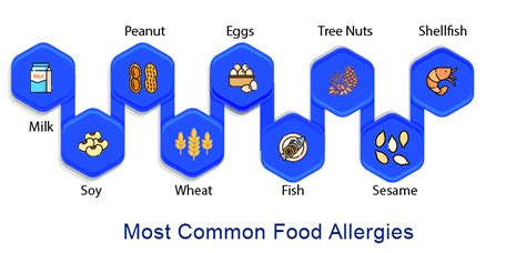 9 Most Common Food Allergies Food Allergy Market And Key Companies