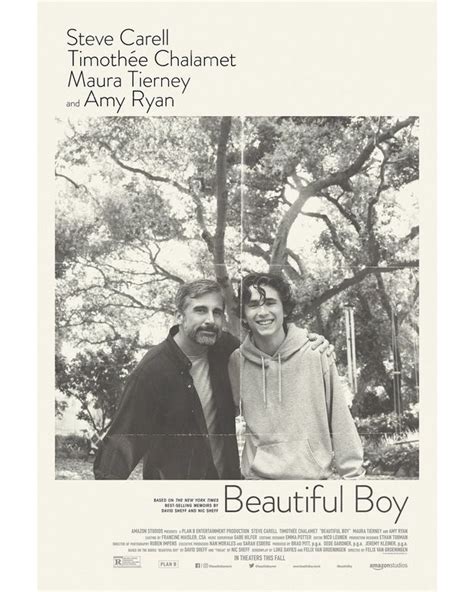 Beautiful Boy Trailer Released Steve Carell And Timothée Chalamet