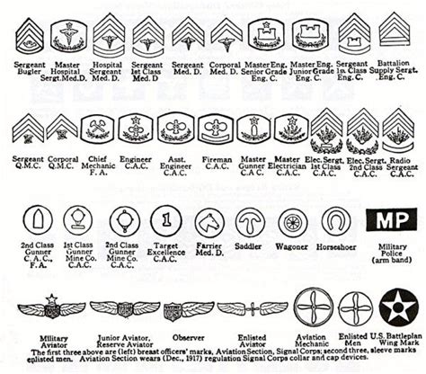 Usarmy Rank And Insignia Identification Ww1 Cavalry Infantry