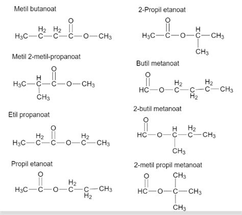 Contoh Senyawa Ester