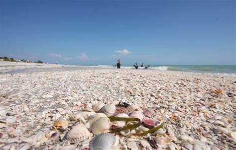 Sanibel Island Shelling Island Inn Sanibel