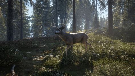 10 Best Hunting Games On Xbox One Gameranx