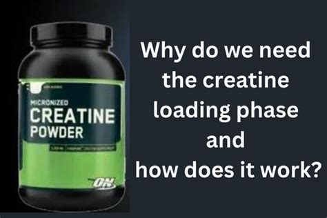 Why Do We Need The Creatine Loading Phase And How Does It Work