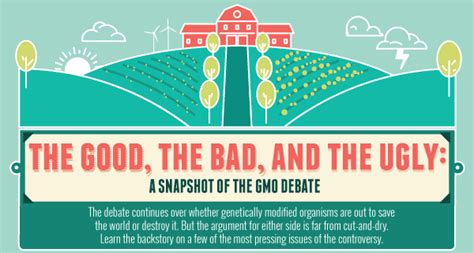 Genetically Modified Food Gmo Pros And Cons