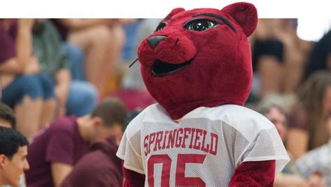 Fast Facts Springfield College