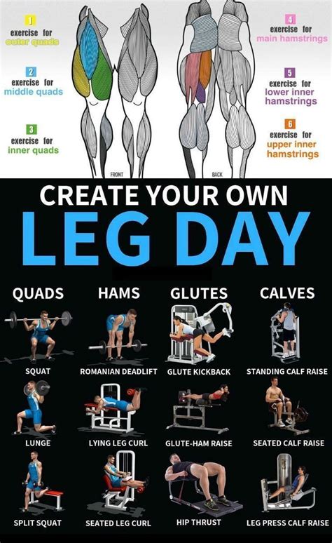 create your own leg day in 2020 weight training workouts leg workouts gym leg workout