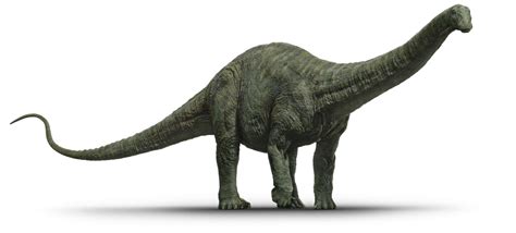 Jurassic World Apatosaurus Render 3 By Tsilvadino On Deviantart