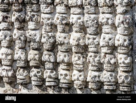 Ancient Aztec Skull Wall Templo Mayor Museum Mexico City Mexico