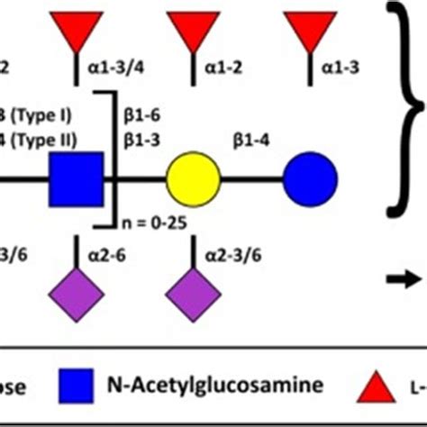 Pdf Human Milk Microbiota And Oligosaccharides A Glimpse Into