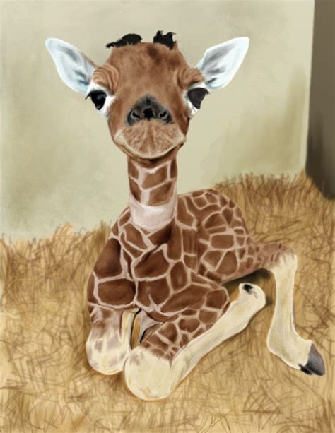 Their silliness makes us laugh or, if you're pressed for time, you can just skip a few steps, by checking out some of the funniest photos of animals in existence below. baby+giraffe | Baby giraffe by Rapsag on deviantART | Animais