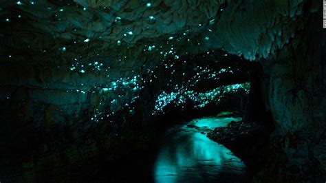 At Waitomo Caves In New Zealand Glowworms Illuminate The Darkness