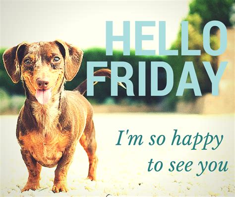 Hello Friday Make Your Dogs Weekend Extra Special Visit Oshdog