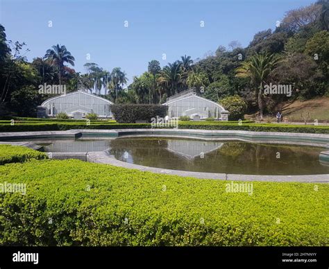 Greenhouses In The Botanical Garden Of São Paulo Brazil Stock Photo