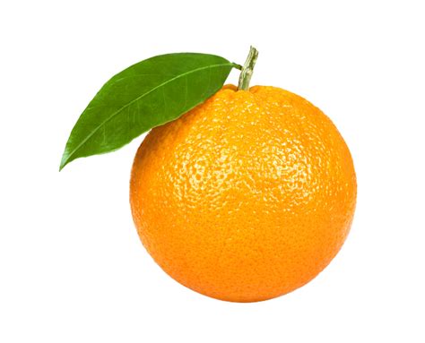 Orange Or Tangerine Png Transparent Background 29200278 Png