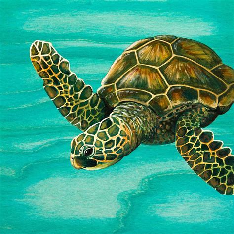Hilahila Shy Sea Turtle Painting By Emily Brantley Fine Art America