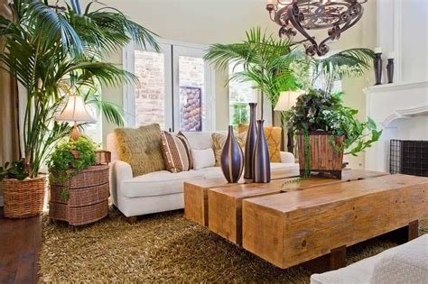 How To Arrange Plants In Living Room 7 Amazing Suggestions Home
