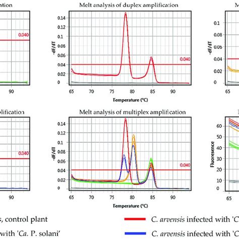 Melt Curve Analysis In Multiplex Sybr Green Based Real Time Pcr Using