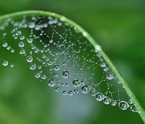 Water Art Water Droplets Nature Photography