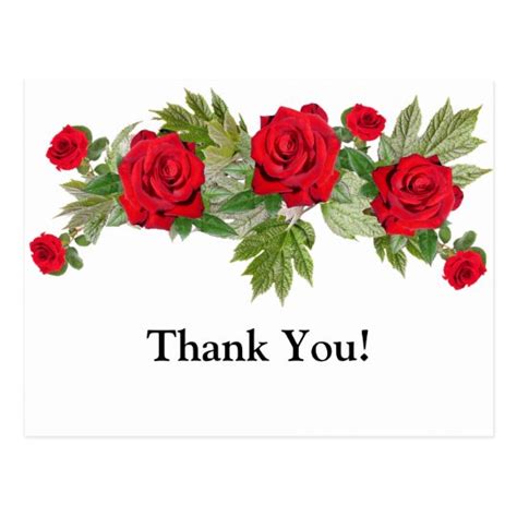 Red Roses 3 Thank You Graduation Postcard