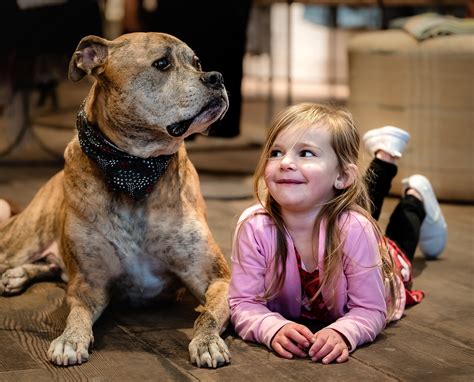 How to Celebrate Doggy Date Night - unleashedwithlove.com