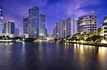The Top Things To Do in Miami, Florida