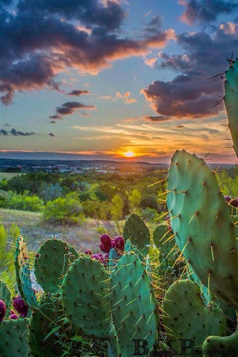 Hill Country Sunrise Boerne Tx Beautiful World Beautiful Places