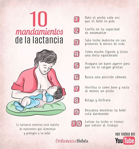 Lactancia Materna Exitosa Beneficios Y C Mo Dar El Pecho Lactancia