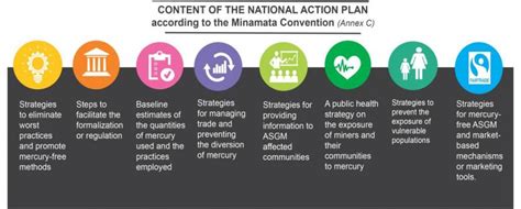 National Action Plans Global Mercury Partnership