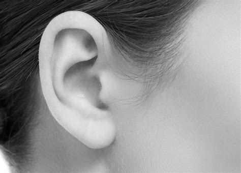 Ear Nose And Throat Wilshire Surgery Center