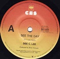 Dee C. Lee - See The Day (1985, Vinyl) | Discogs