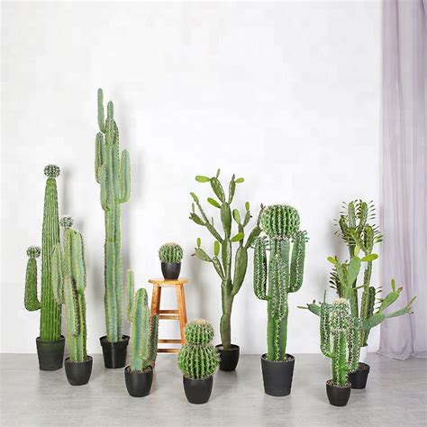 Keeping cactuses at the entrance is another way of decorating your home.order cactus plants from nursery live did you know that though the cactus has a thorny and. Home Decor Artificial Cactus Plants Plastic Faux Desert ...