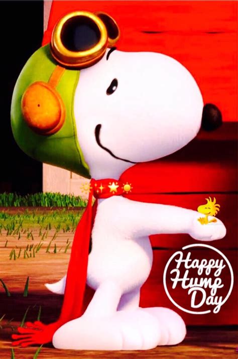 Happy Hump Day Snoopy Love Charlie Brown Y Snoopy Snoopy And