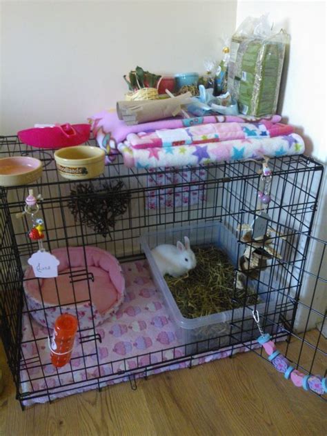 Diy pvc ripe rabbit cage. Pin on BUNNY WORLD