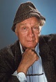 Morre aos 98 anos o ator George Gaynes, que viveu pai de Punky Brewster ...