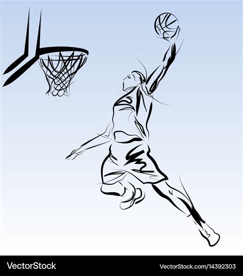 Line Sketch Of A Basketball Player Royalty Free Vector Image