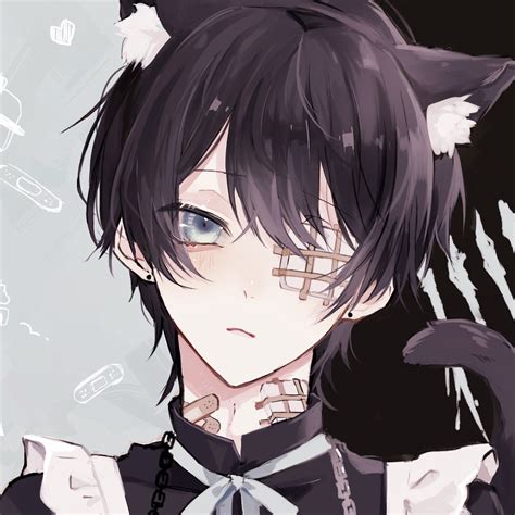 🐼飴宮86＋ﾞ🍬 On Twitter Anime Cat Boy Cute Anime Guys Anime Neko