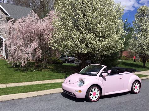 Pink Vw Beetle Dream Cars Cute Cars Beetle Car