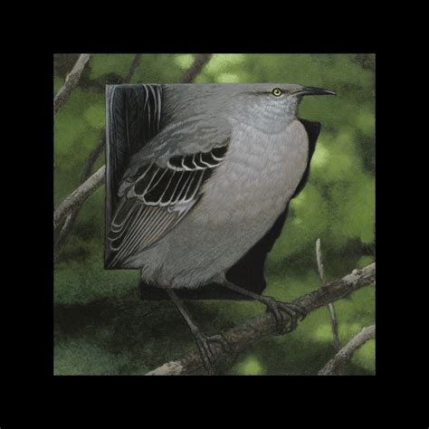 Arkansas Mockingbird — Giclee42